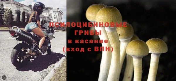 2c-b Ладушкин