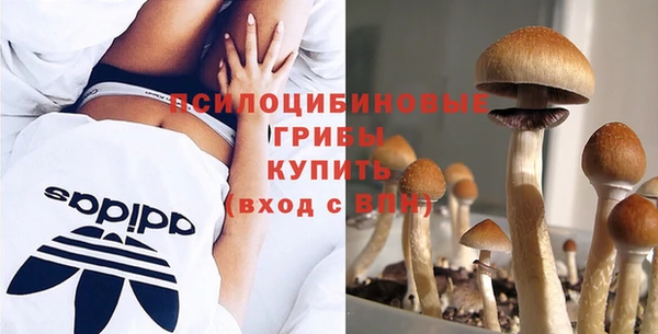 2c-b Ладушкин