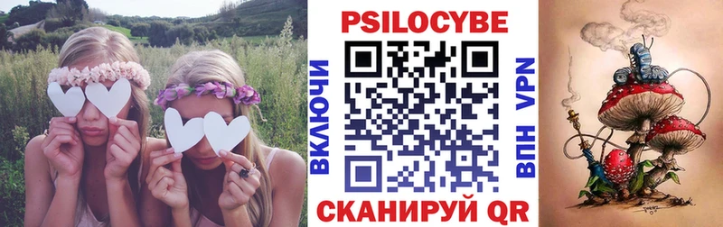 OMG ONION  Малаховка  Галлюциногенные грибы Psilocybine cubensis  наркота 